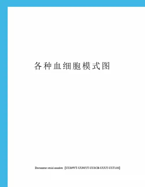各种血细胞模式图