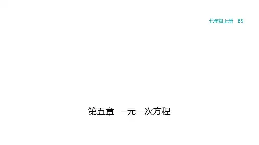 2 一元一次方程的解法-课时4 “去分母”解一元一次方程