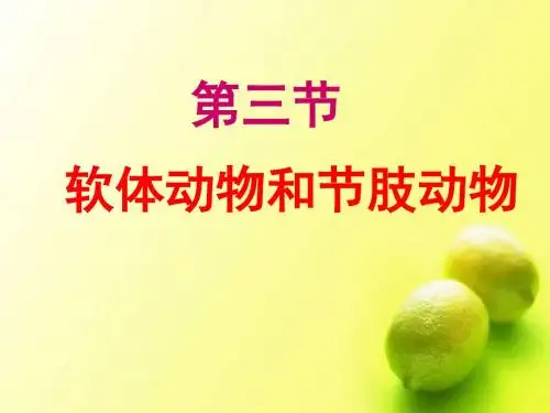 (新)人教版八年级生物上册5.1.3《软体动物和节肢动物》优秀课件(共36张PPT)
