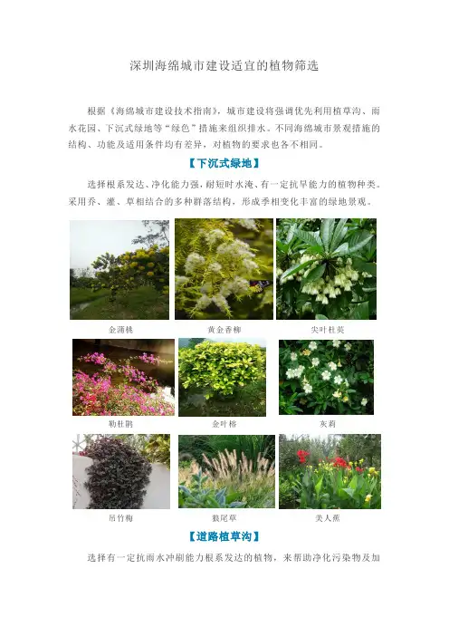华南地区海绵城市植物选择