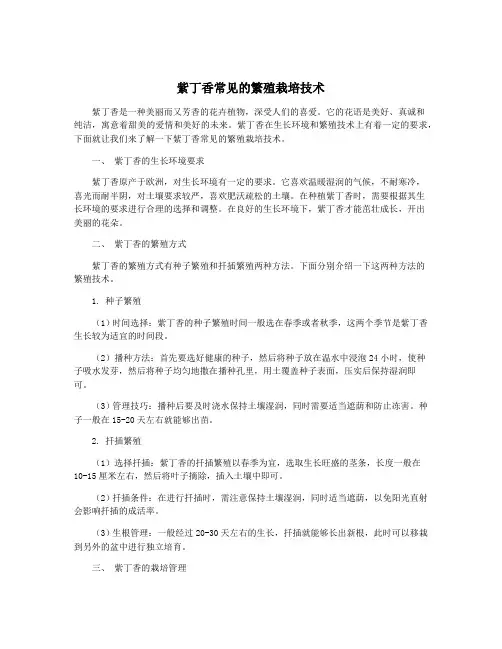 紫丁香常见的繁殖栽培技术