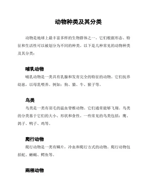 动物种类及其分类