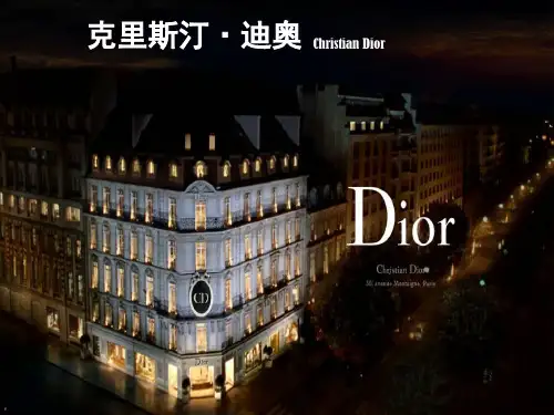 关于DIOR的PPT