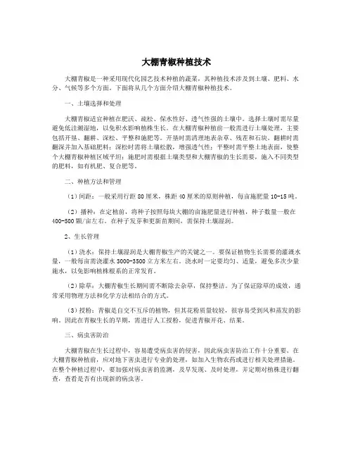 大棚青椒种植技术