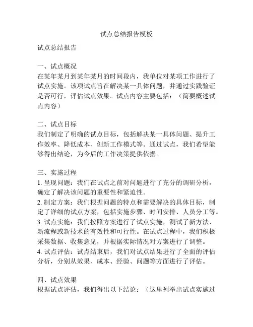 试点总结报告模板