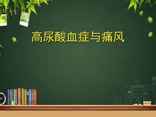 痛风高尿酸血症与痛风-PPT