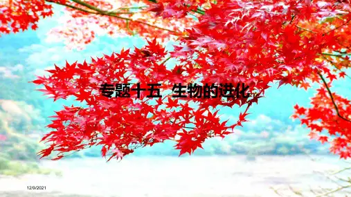 高考生物一轮复习(高手必备萃取高招)专题15 生物的进化(含17高考真题及解析)课件 