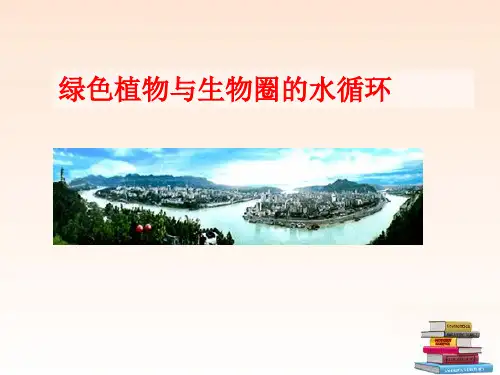 第三章绿色植物与生物圈的水循环