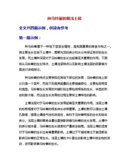 种马铃薯的最浅土层