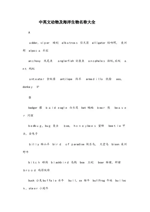 中英文动物海洋生物名称大全