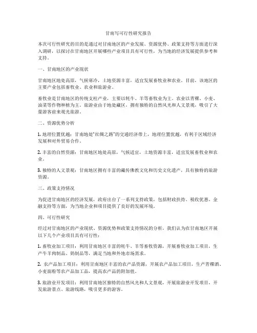 甘南写可行性研究报告