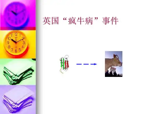 英国“疯牛病”事件