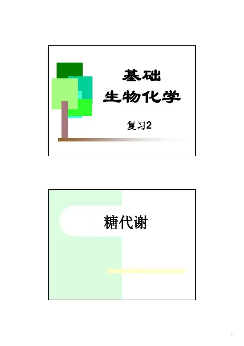 中国农业大学_806生物化学_《生物化学》 复习2