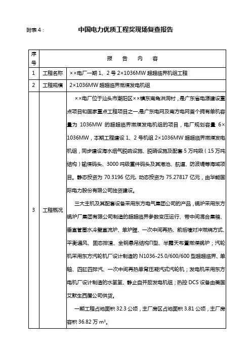 电力行优程现场复查报告(表格版范本)