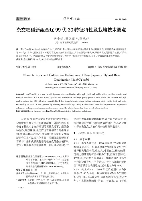 杂交粳稻新组合辽99优30特征特性及栽培技术要点