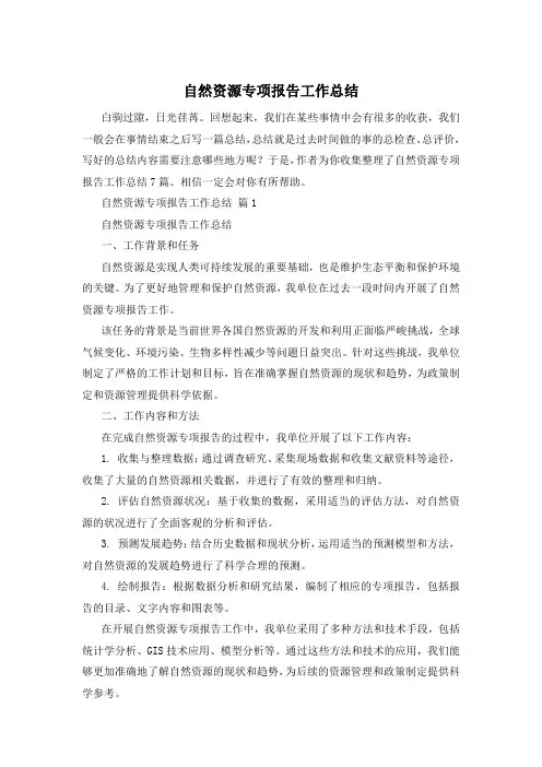 自然资源专项报告工作总结
