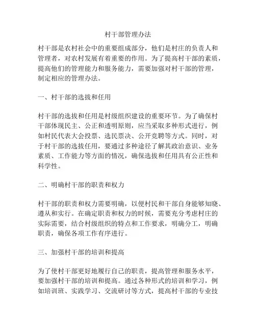 村干部管理办法