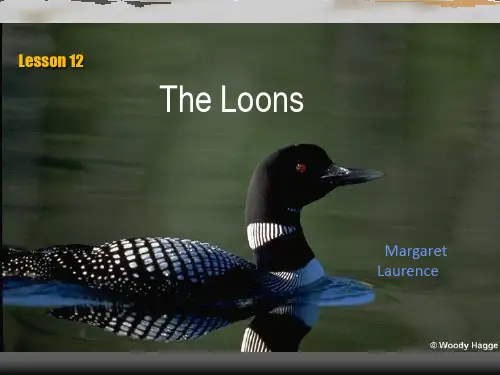 高级英语 Lesson 12 The Loons