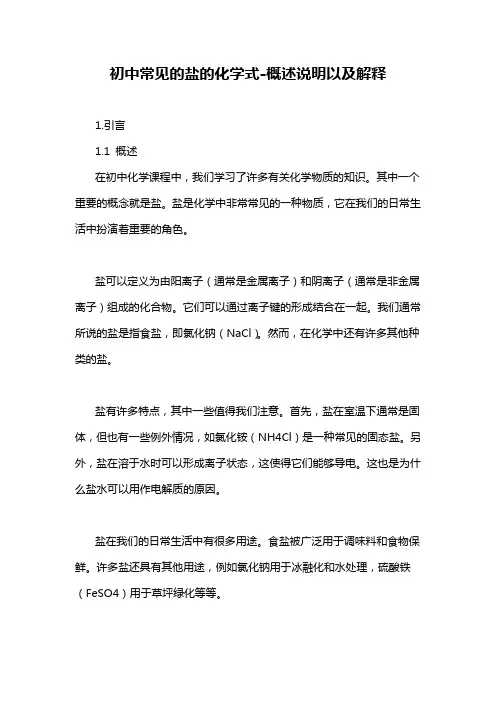 初中常见的盐的化学式-概述说明以及解释
