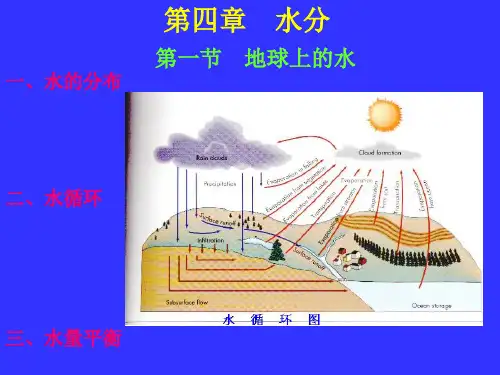 4水分