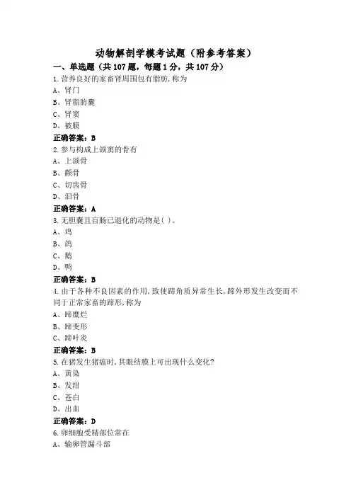 动物解剖学模考试题(附参考答案)