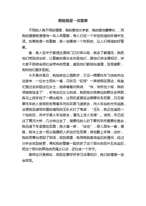 假如我是一名警察