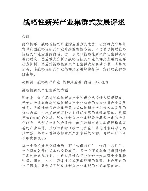 战略性新兴产业集群式发展评述