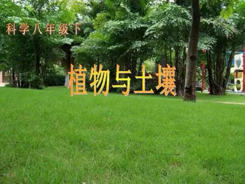 浙教版八年级科学下册课件：第4章 植物与土壤 (共19张PPT)