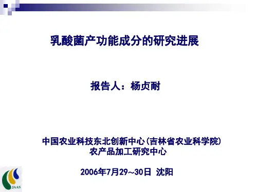 乳酸菌产功能成分的研究进展