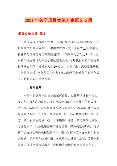 2021年关于项目实施方案范文6篇