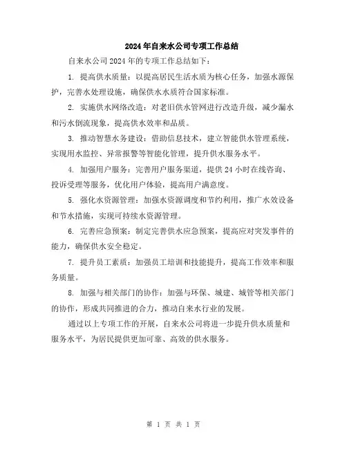 2024年自来水公司专项工作总结