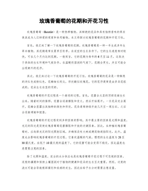 玫瑰香葡萄的花期和开花习性