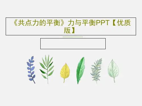 《共点力的平衡》力与平衡PPT【优质版】共52页