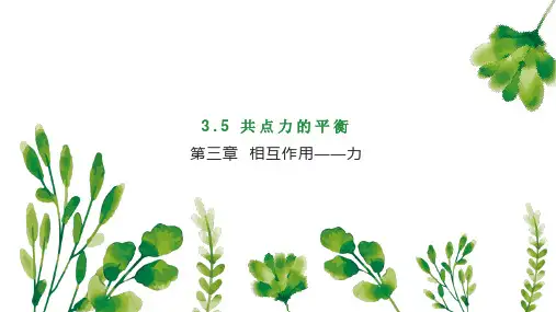 共点力平衡ppt课件