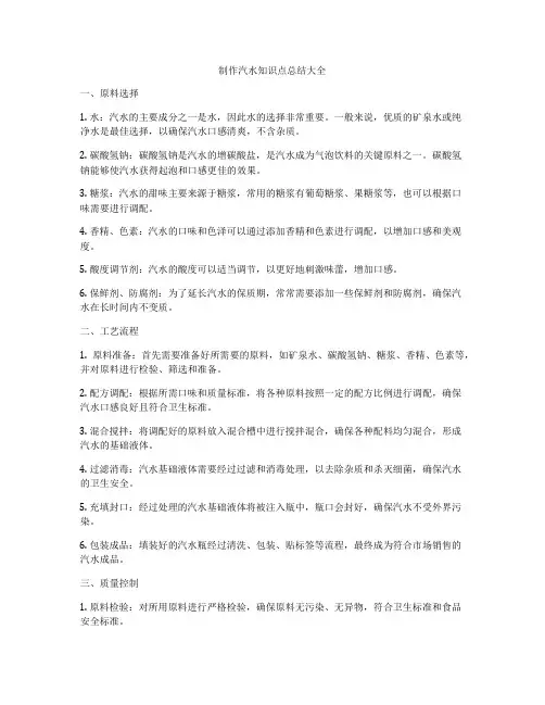 制作汽水知识点总结大全