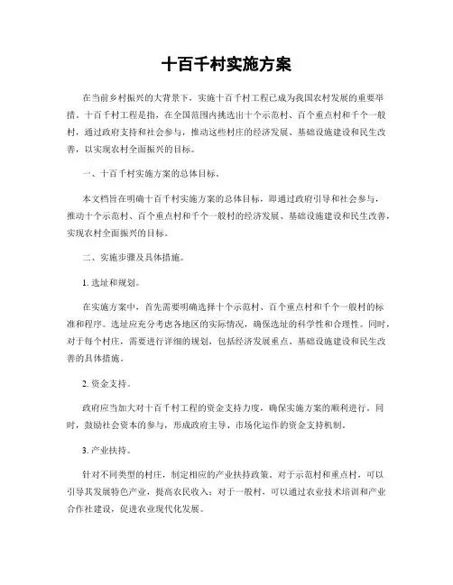 十百千村实施方案