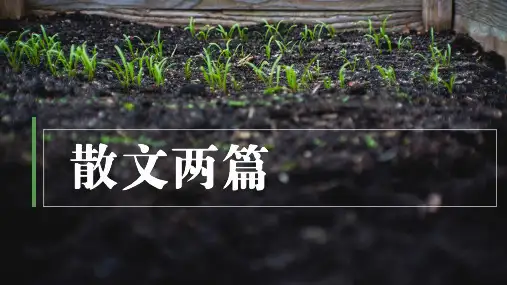 部编人教版八年级语文上册《永久的生命》公开教学课件