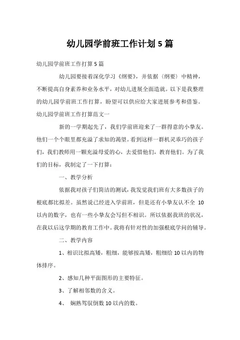 幼儿园学前班工作计划5篇