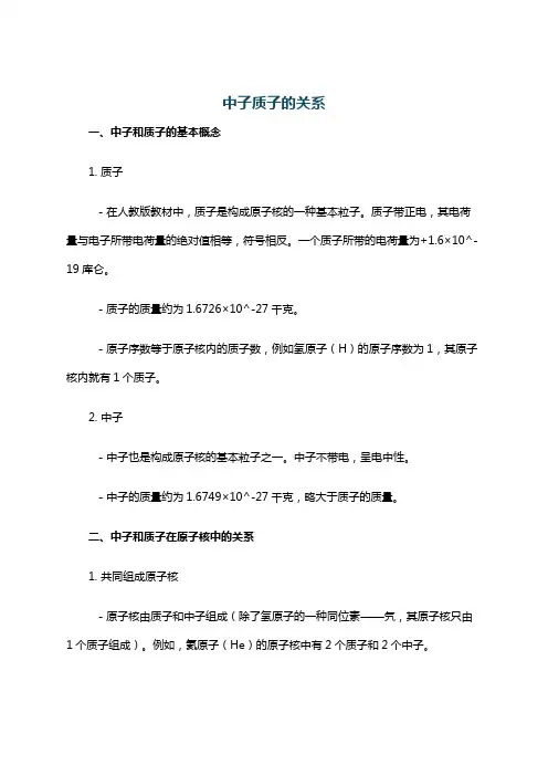 中子质子的关系