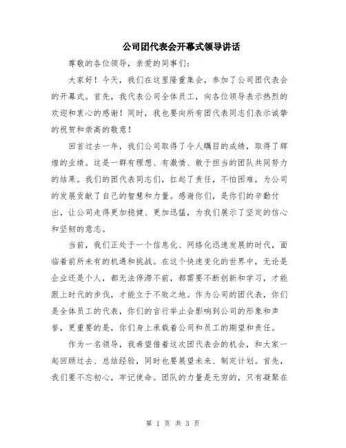 公司团代表会开幕式领导讲话