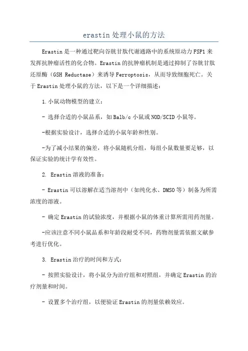erastin处理小鼠的方法