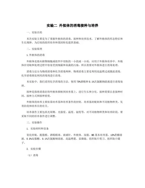 实验二 外植体的消毒接种与培养