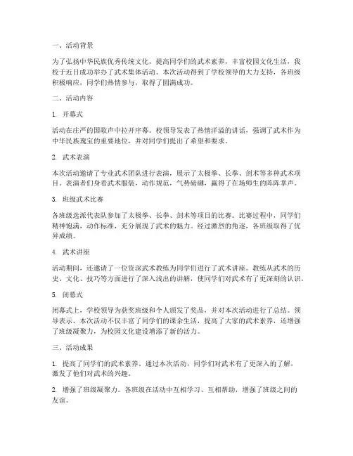 武术集体活动总结范文