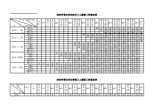 2006年工资标准表及套改表