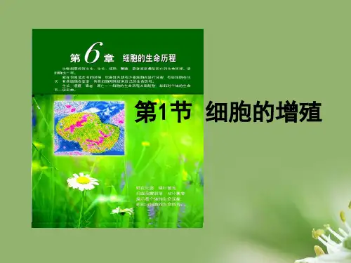 细胞的增殖ppt54 人教课标版精选教学PPT课件