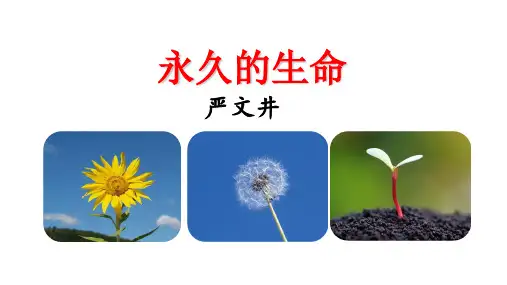 第16课《永久的生命》课件(共20张ppt)++2022-2023学年部编版语文八年级上册 (1)