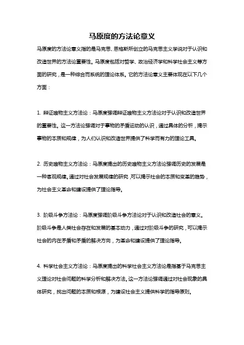 马原度的方法论意义
