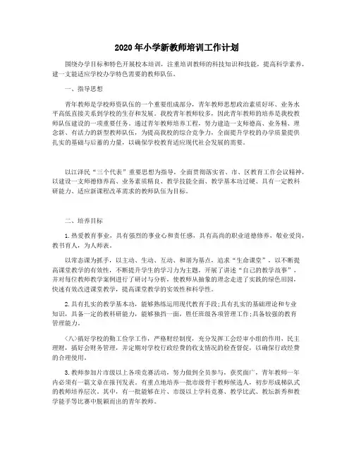 2020年小学新教师培训工作计划