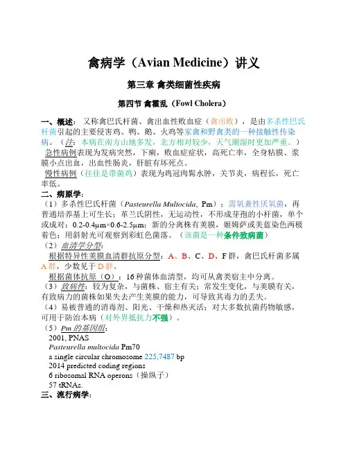禽病学讲义-第三章 禽类细菌性疾病 (3-沙门氏菌病)