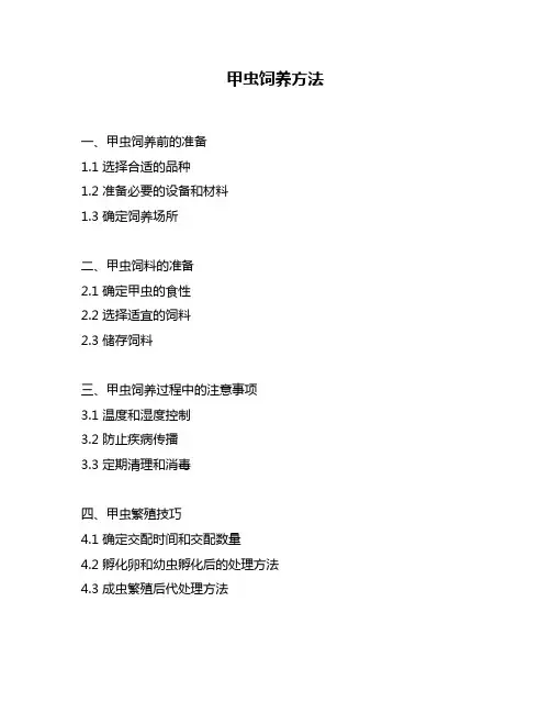 甲虫饲养方法